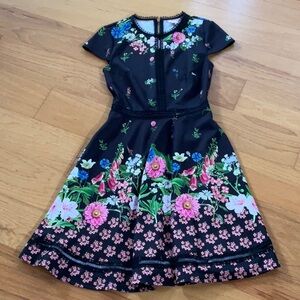 Ted Baker Florence Dress Size 0 Pockets NWOT